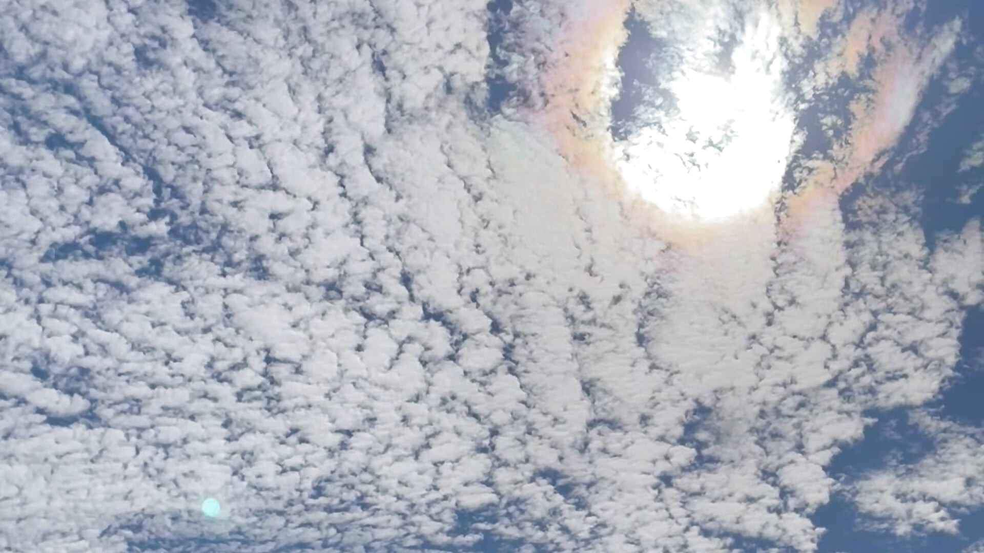 IMG_8178 - video by clara_6x9 cam model