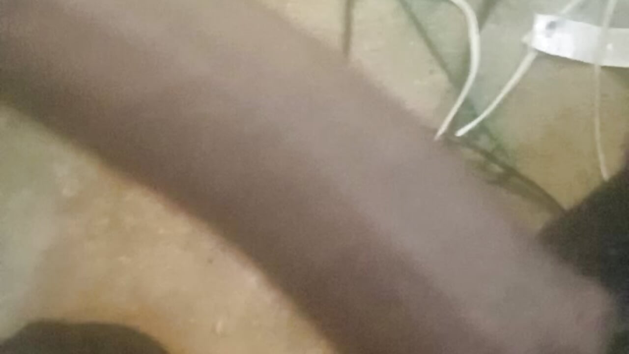 VID_20250729_152254 - video by Ivanloso123 cam model