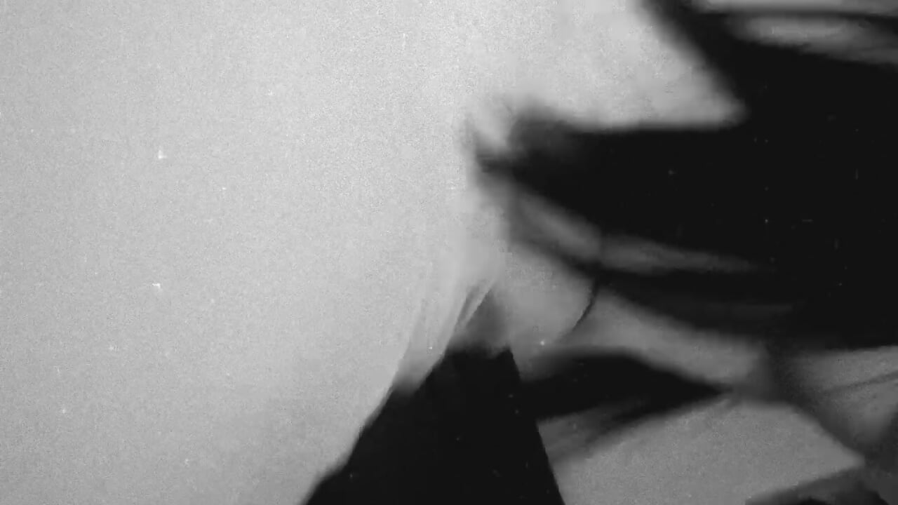 Volvi😜 - Kushina777主播的视频