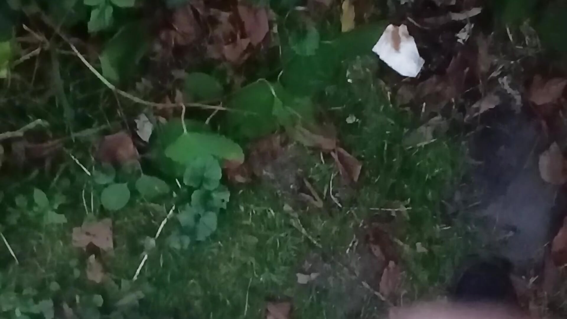 Buiten klaarkomen, heel geil - video by JasperGeil cam model