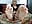 suck and lick my toes - ClassyNAWTYBritMILF 님의 동영상