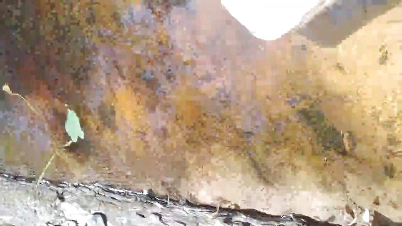 Got horny at the park hope i dont get caught - video by jrowthethrowajax cam model