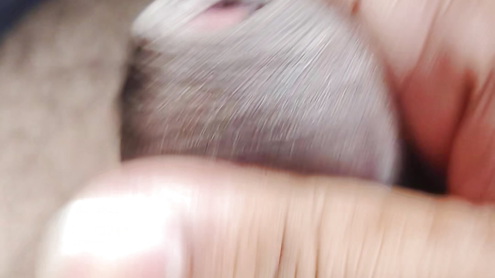 1000422107 - video by sexydarshu cam model