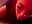 BJ public Bar😏 - Video von maj0lie Cam-Model
