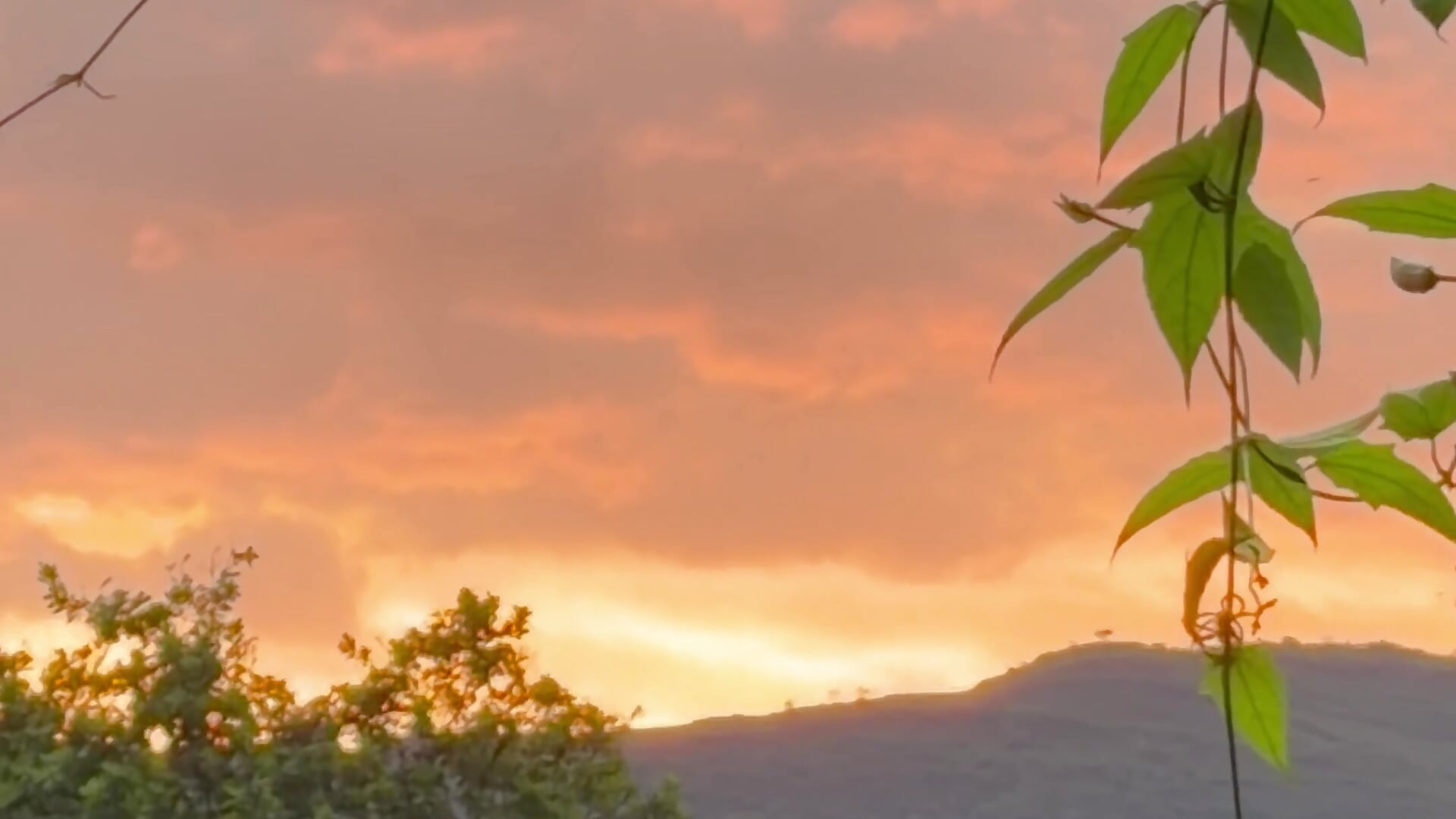 🌇☀️ - סרטון של _Zahiira_