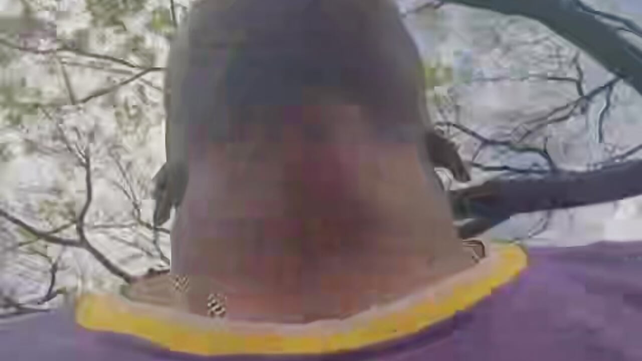 🚶🏾🏃🏾🏃🏾🏃🏾🏃🏾...go It - video by Jhoan_Simply cam model