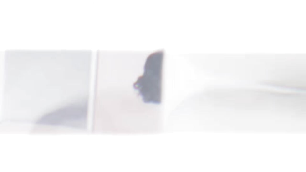 lv_7155971268116761882_20250414112822 - video by gordinhadlc25 cam model