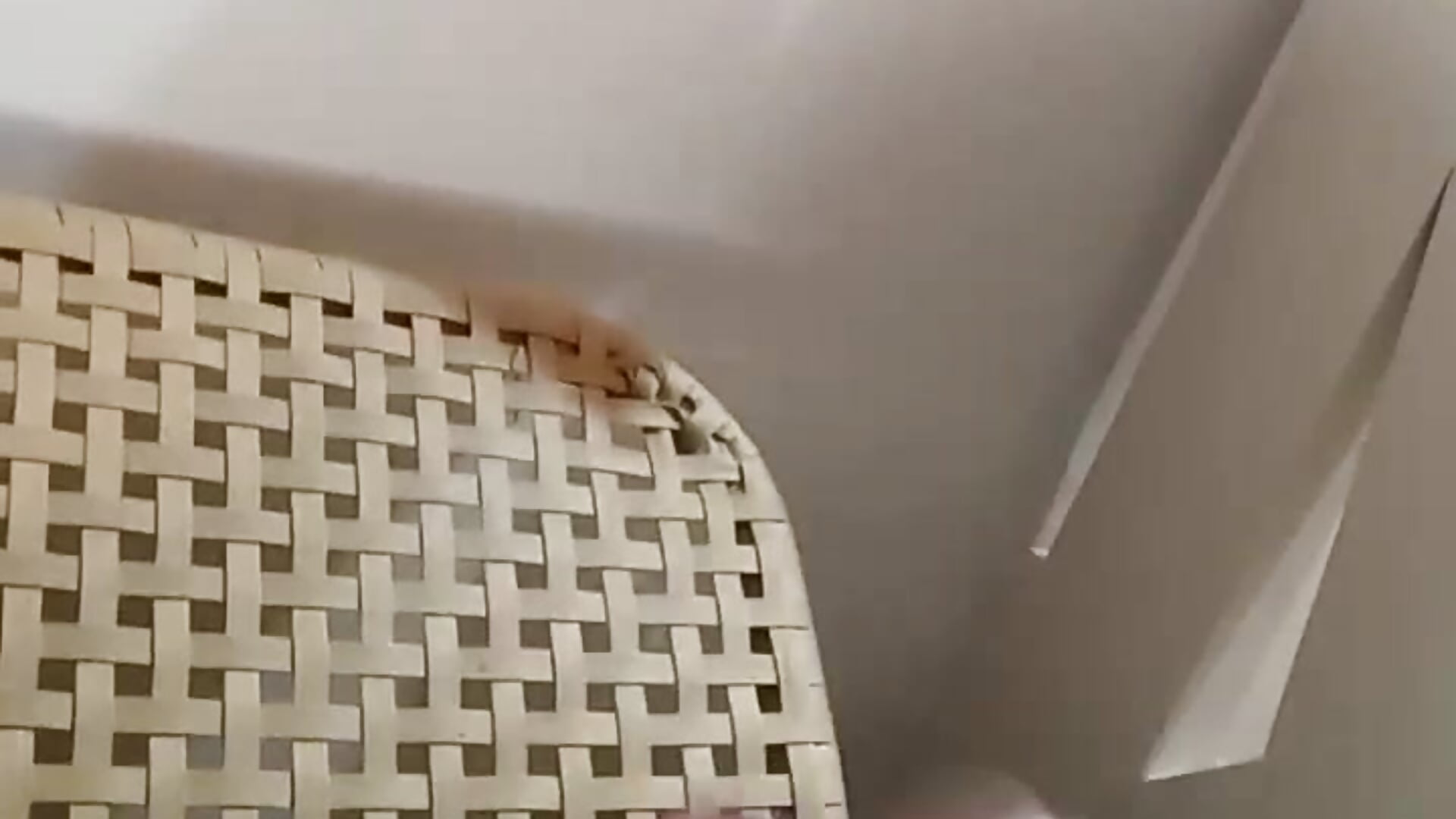 1000004120 - video by Tholel420 cam model