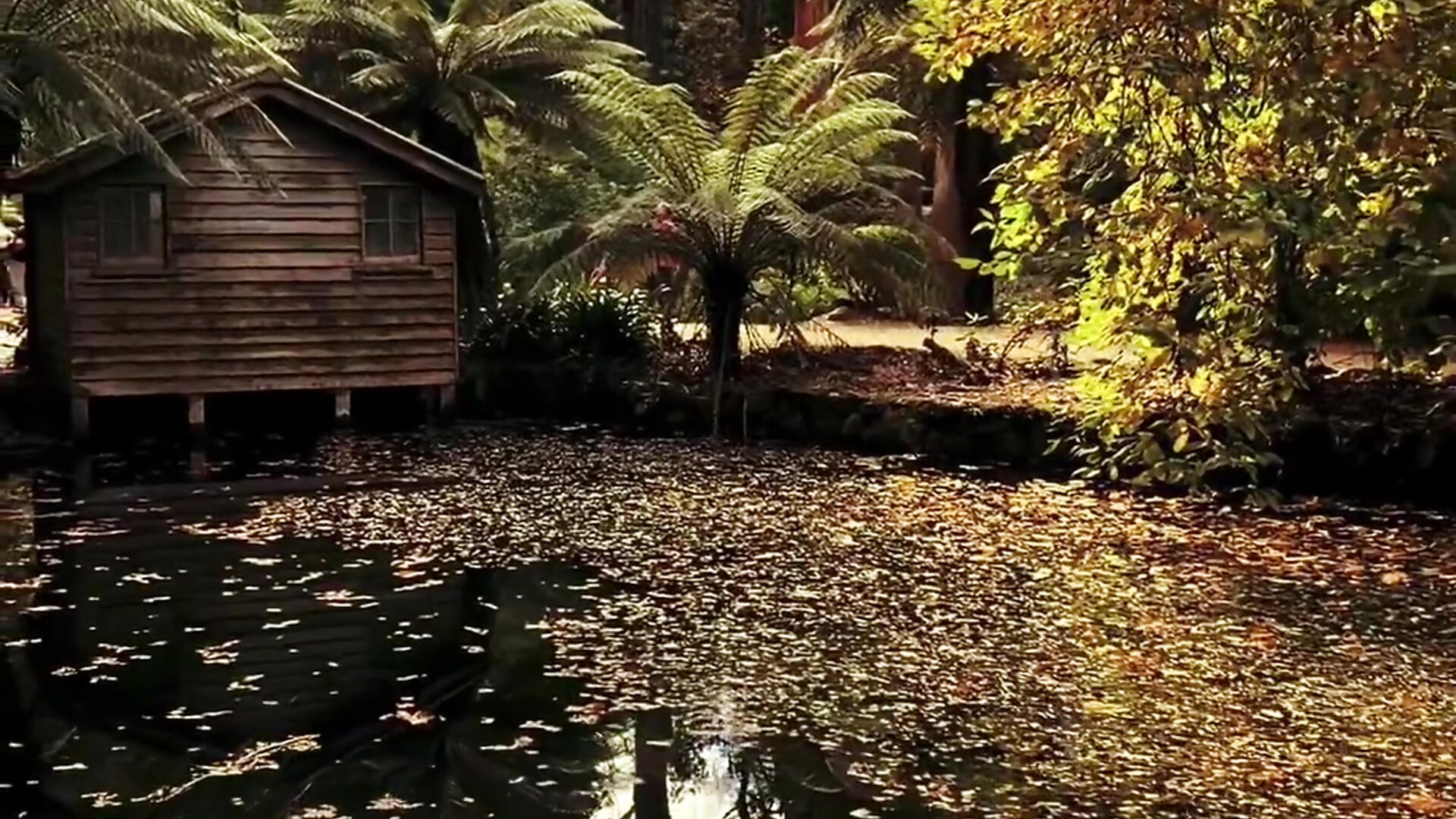 Nature😍😍😍 - video av Lili_Luuu cam-modell