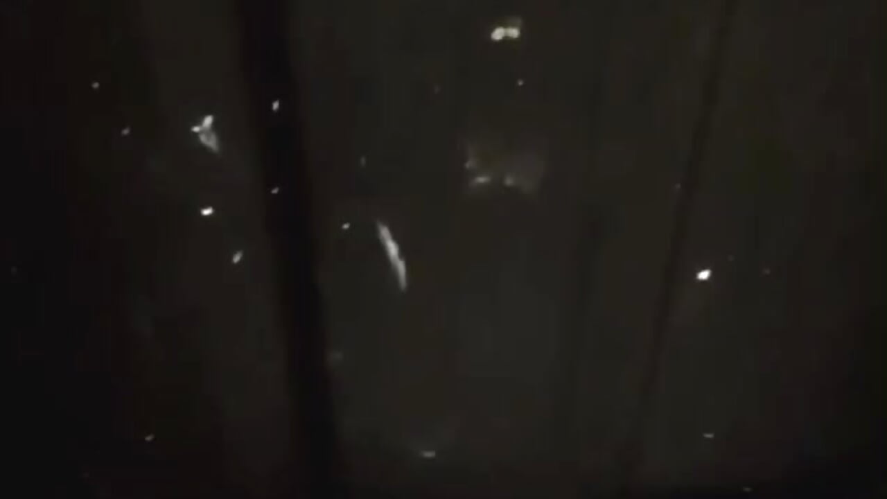 Ya llegaron las piPzas