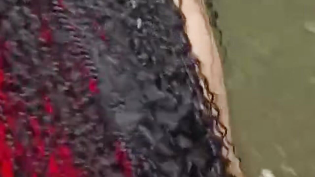 29e07b87-9a2d-43e2-9b3e-b4e32b1d3dc4 – video od webkamerové modelky rhabena_boysex