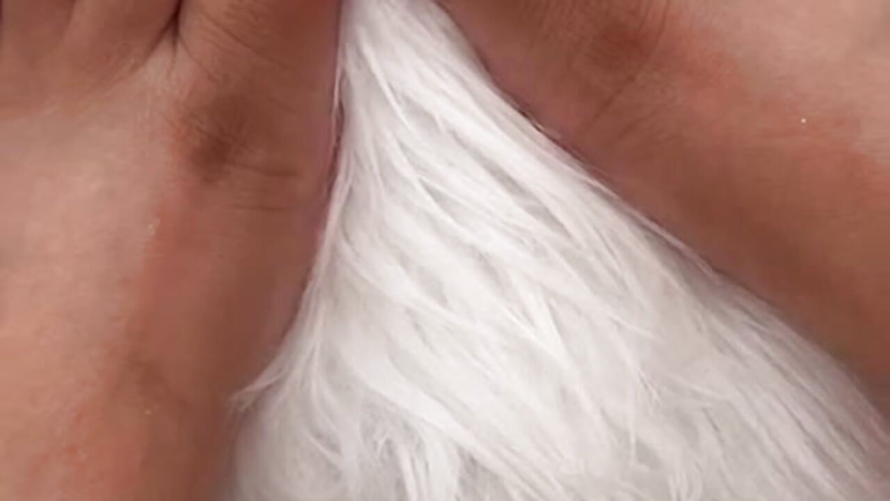 Simple moments, beautiful details－カメラキャストのZafiraRoseの動画