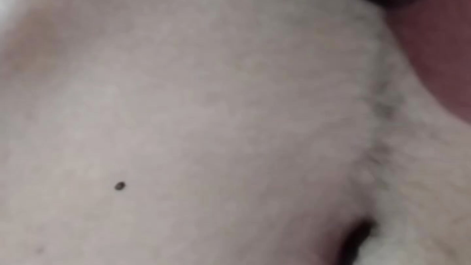 1000229671 - video by saneer69tew cam model