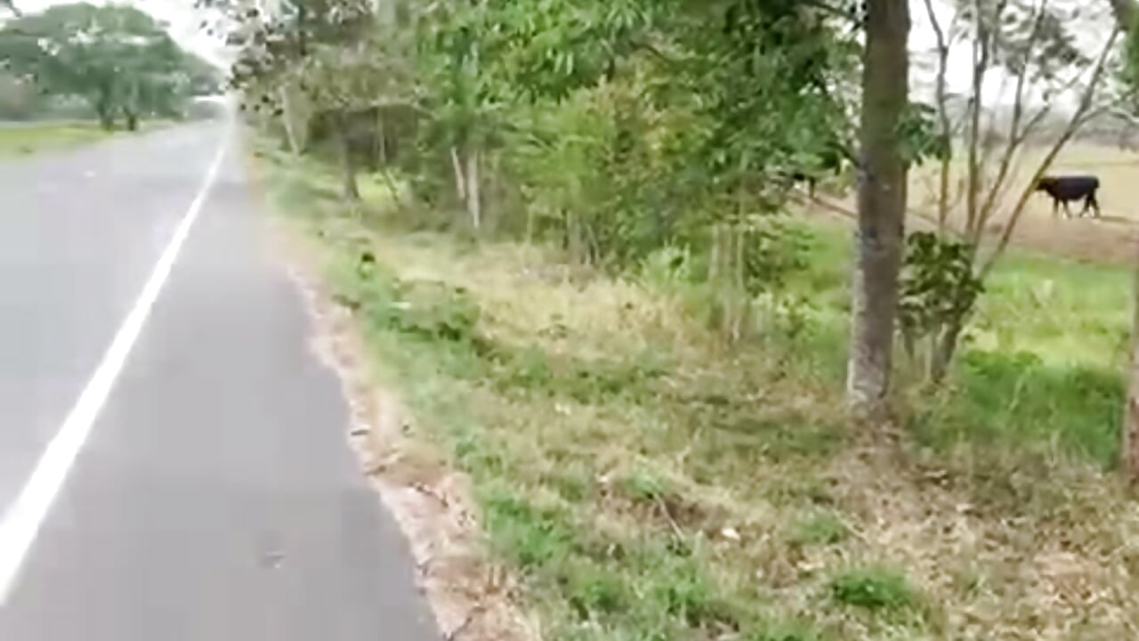 🫶🏻 - video của người mẫu cam dolliette24