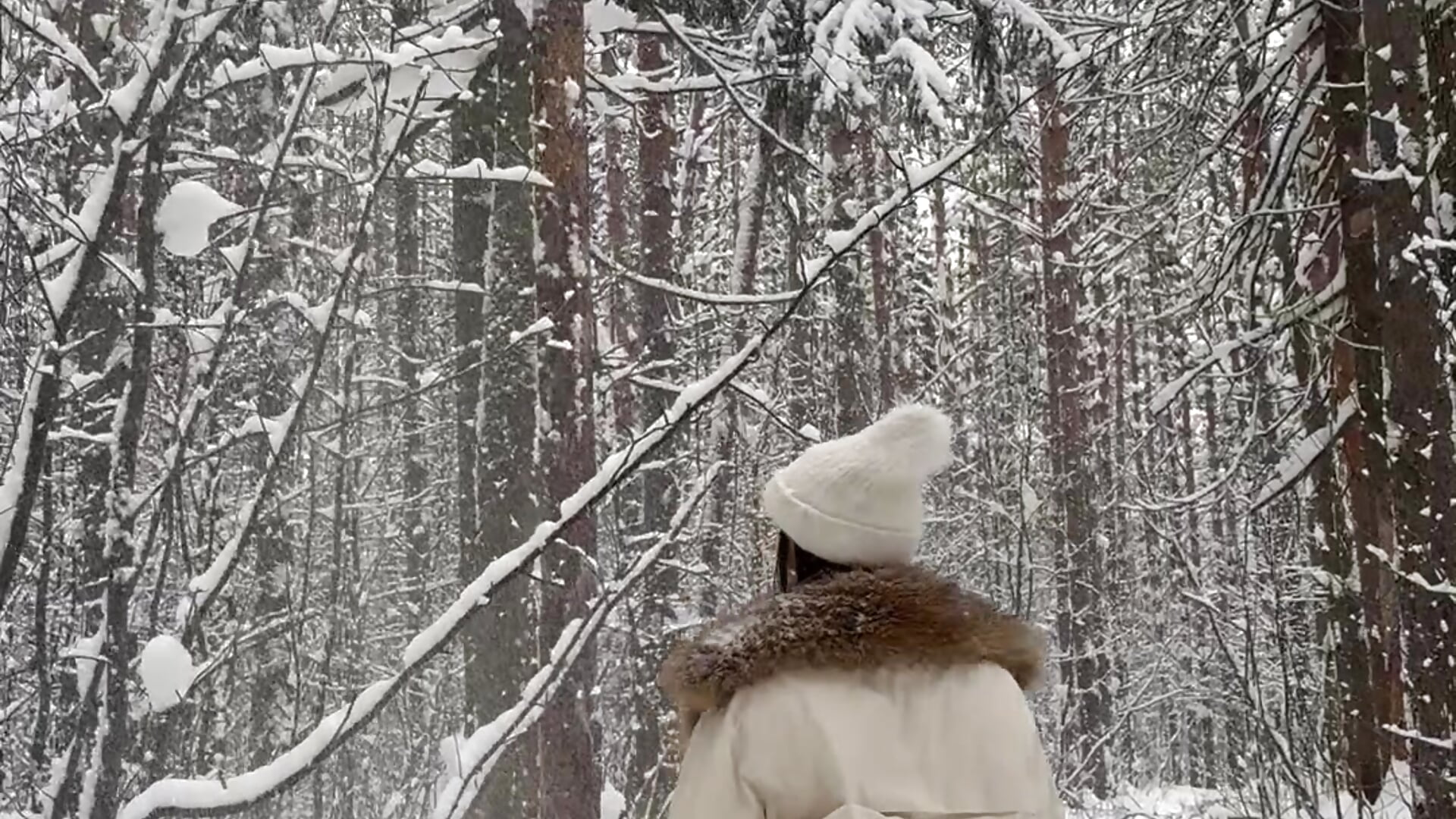 Snowy forest🌲❄️– Mary_Honey kameramodell videója