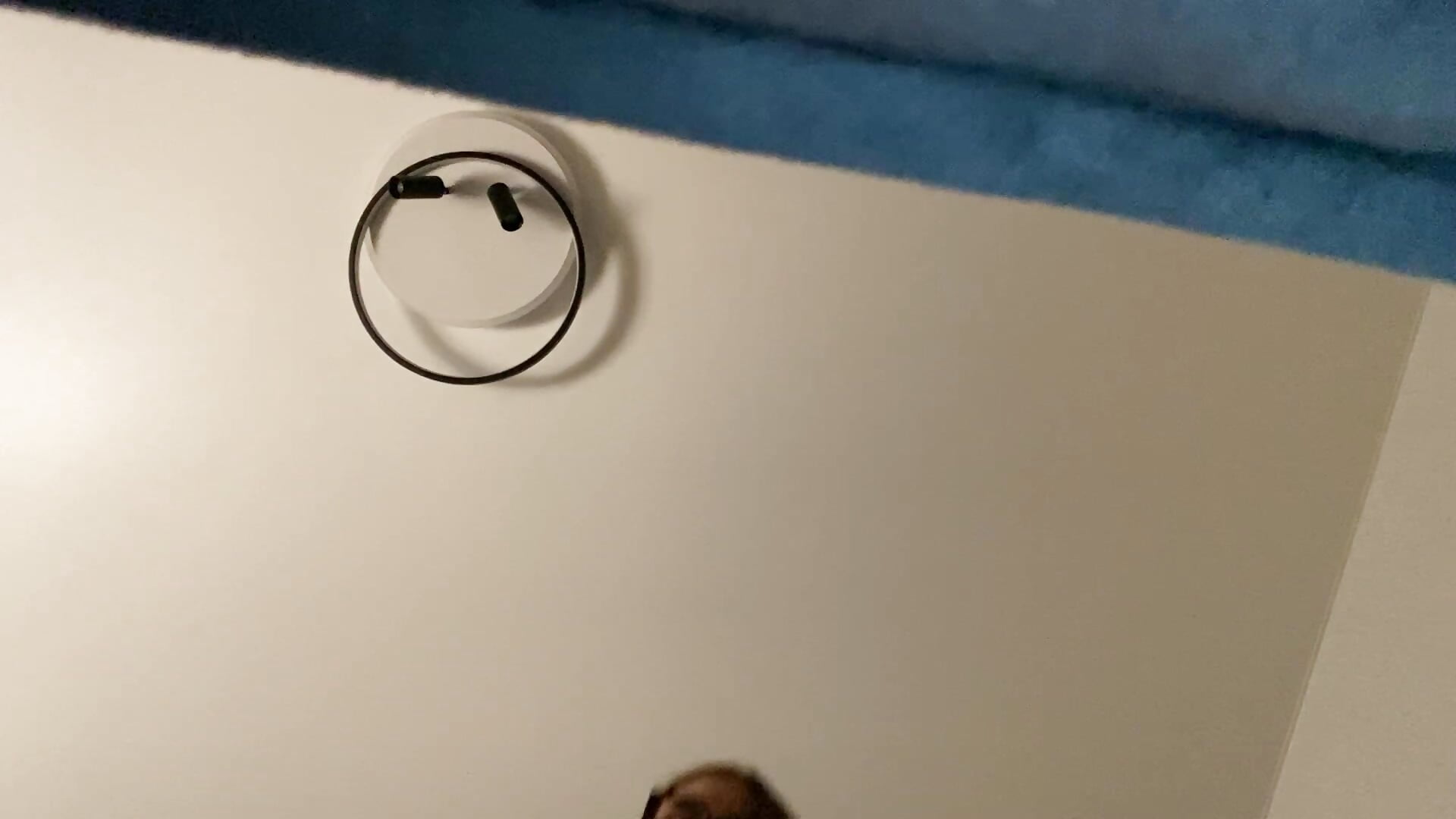 cute moment kitten💋 - video van Mary_Honey cam-model