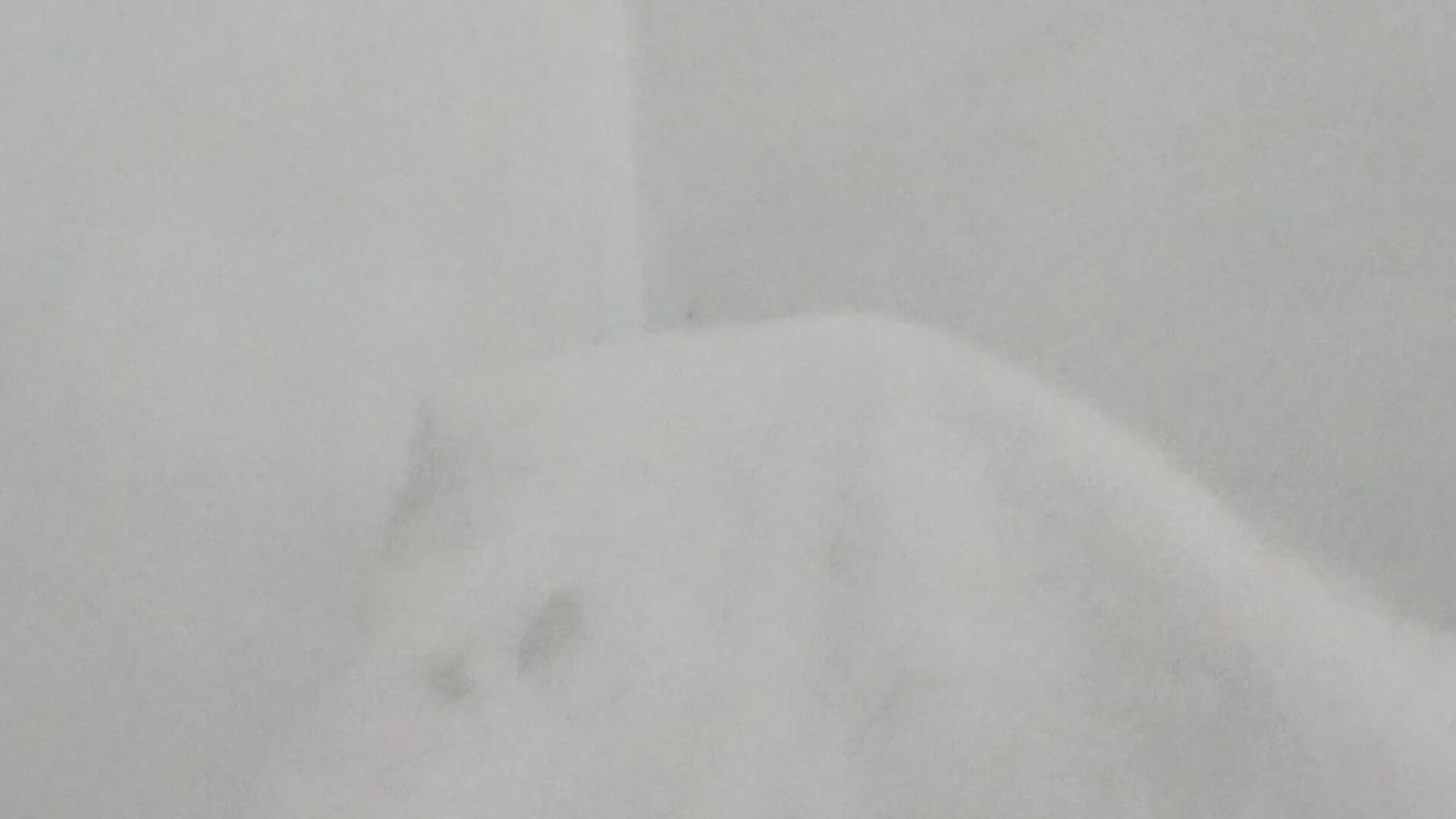 VID_20260113_072250 - video by Titocortez86 cam model