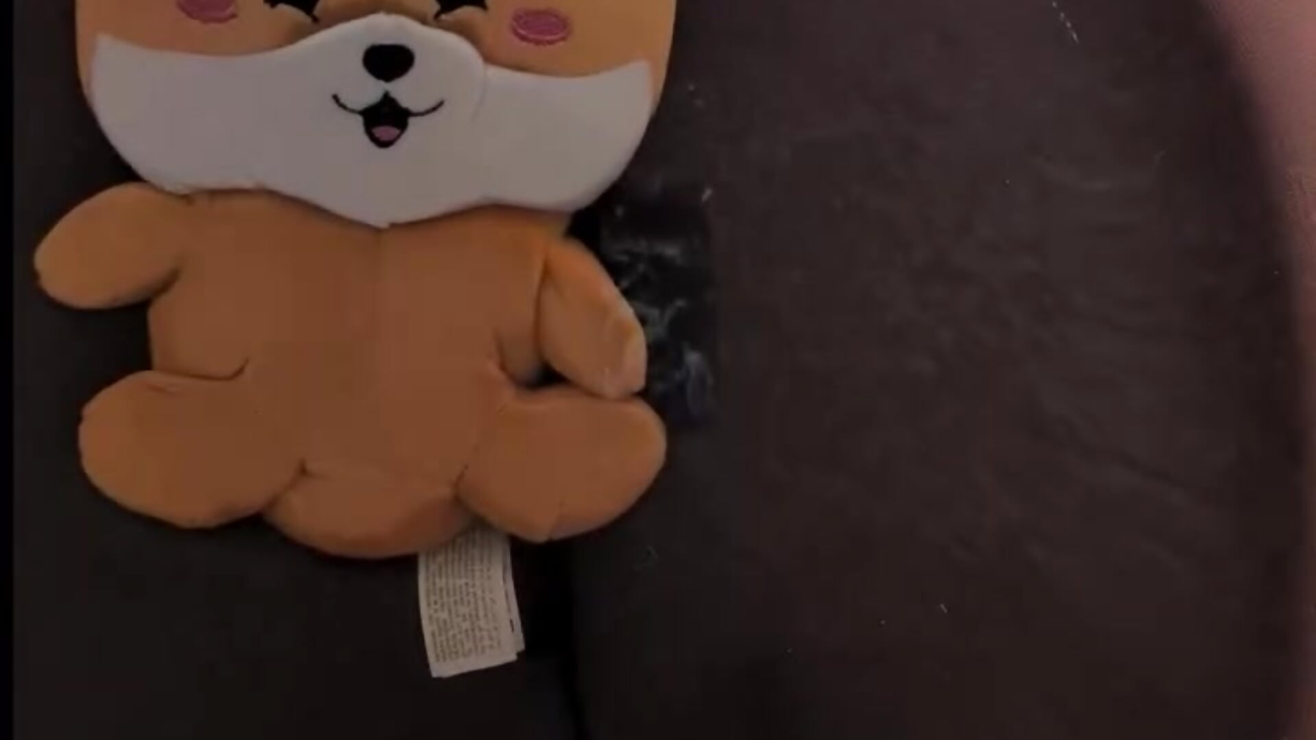 fox is happy with his life decisions 🦊 - video by lilliiilliiillil cam model