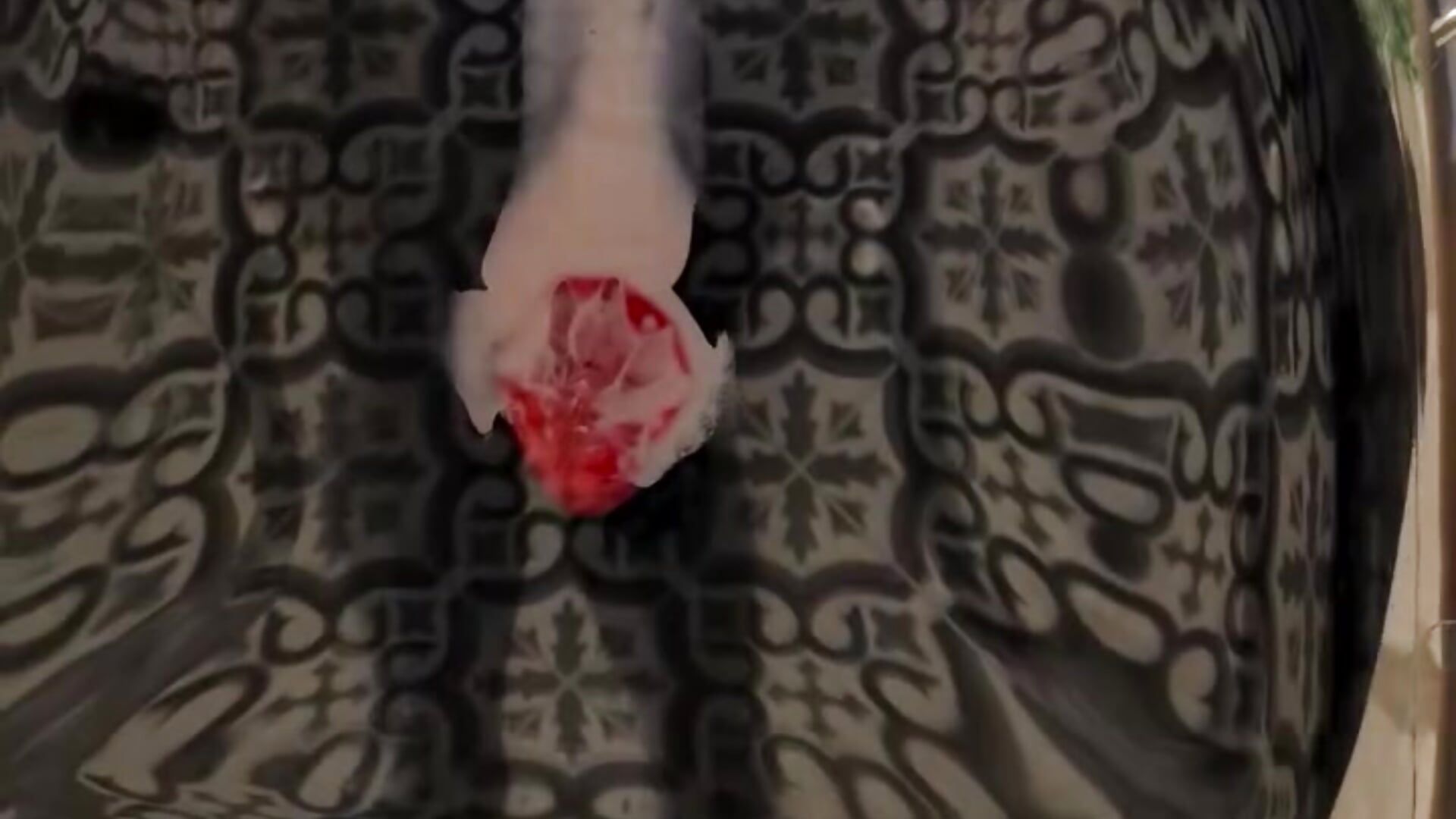 stawberry😈 - video by lilliiilliiillil cam model