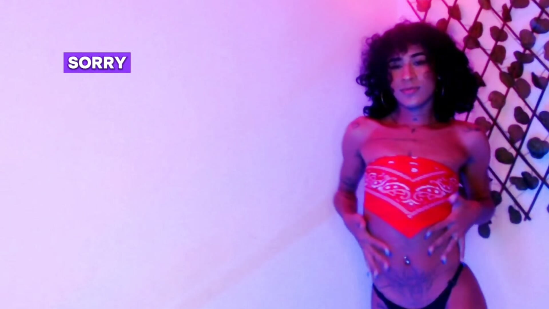 MY SEXY DANCE