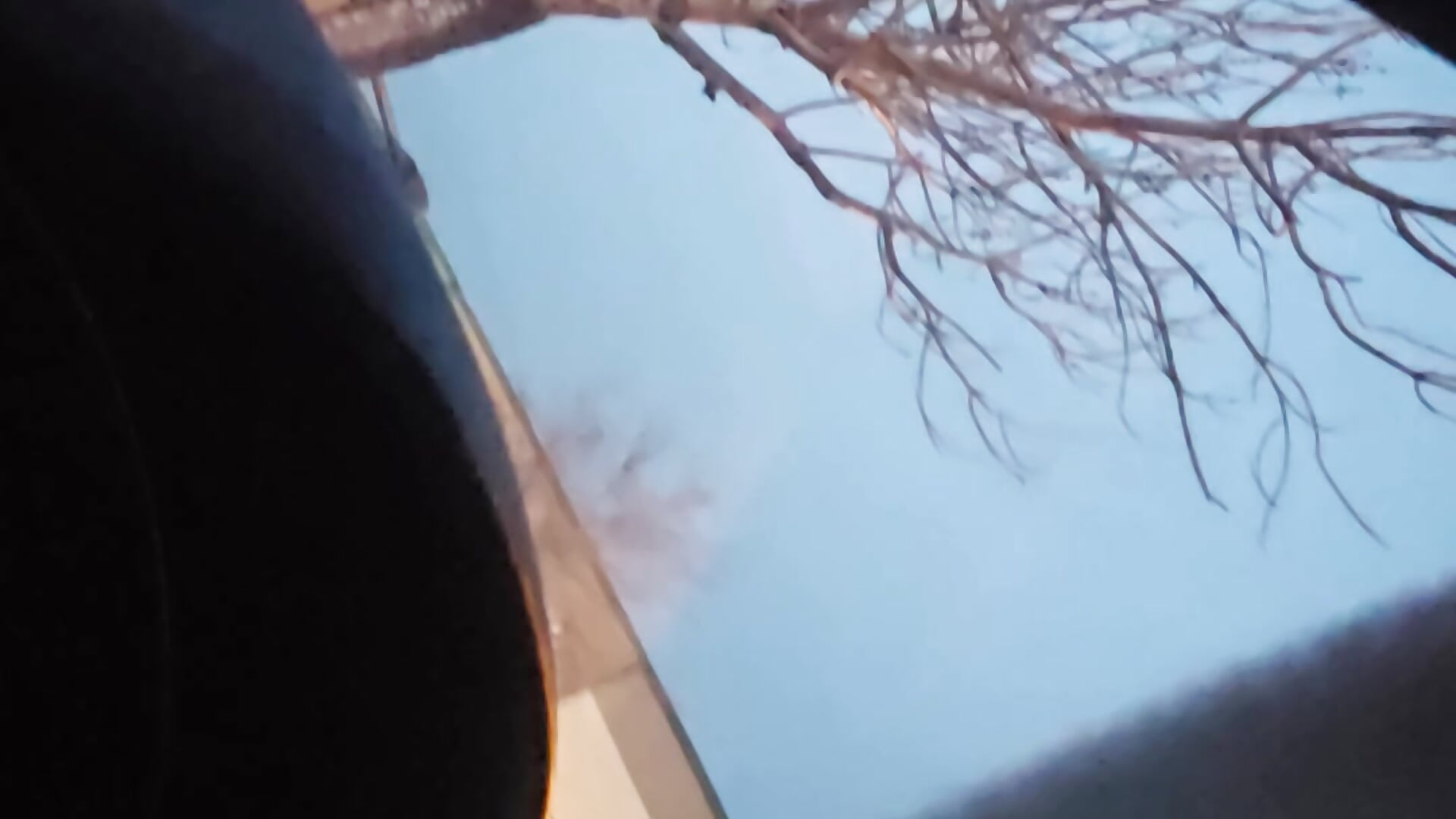 1000008481.mp4 – видео вебкам-модели Delicious_Dahlia