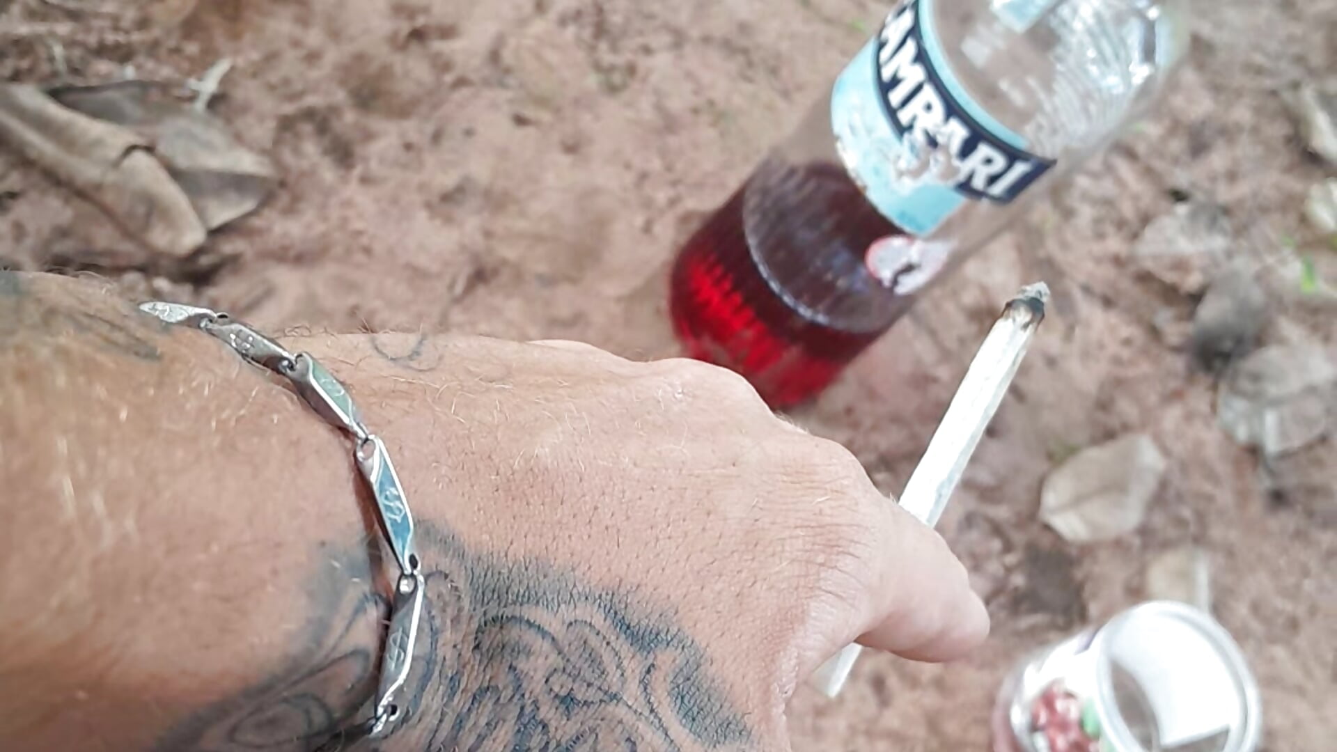 965761eb-76b0-4b8c-a59b-87ad622a5449-1_all_527 - clip cu Davidg244 model videochat