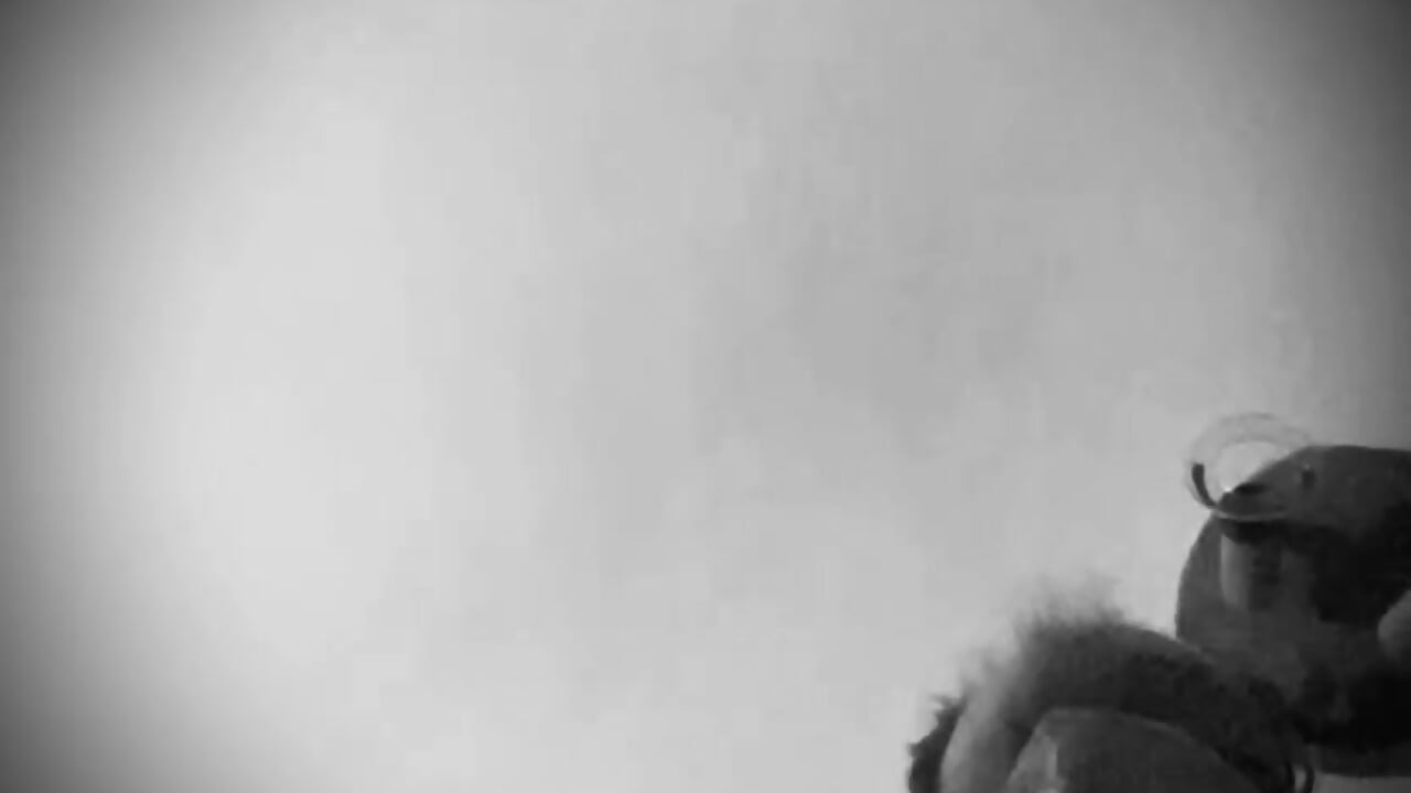 - - - - - Play around with me - - - - - - Guyst049 캠 모델의 동영상