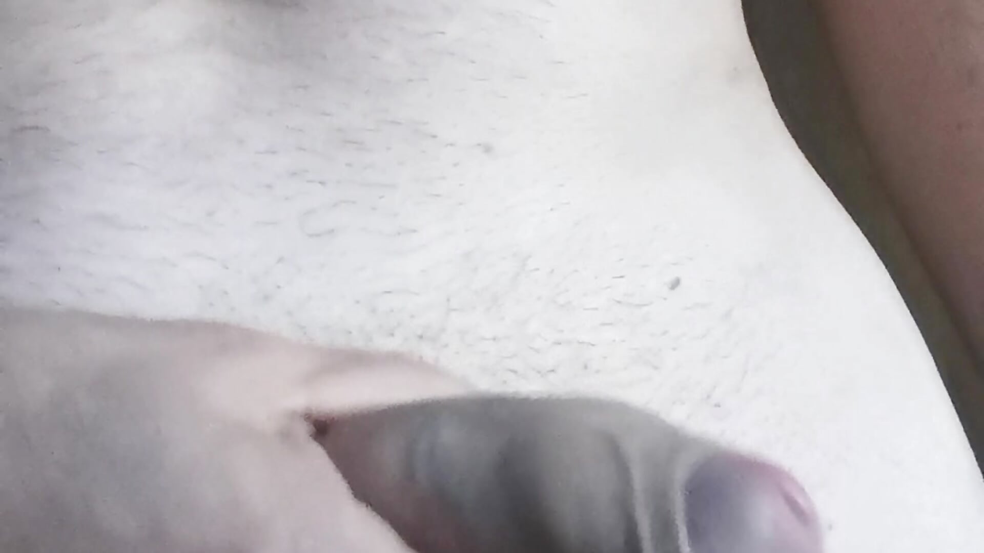VID_20250601_180454