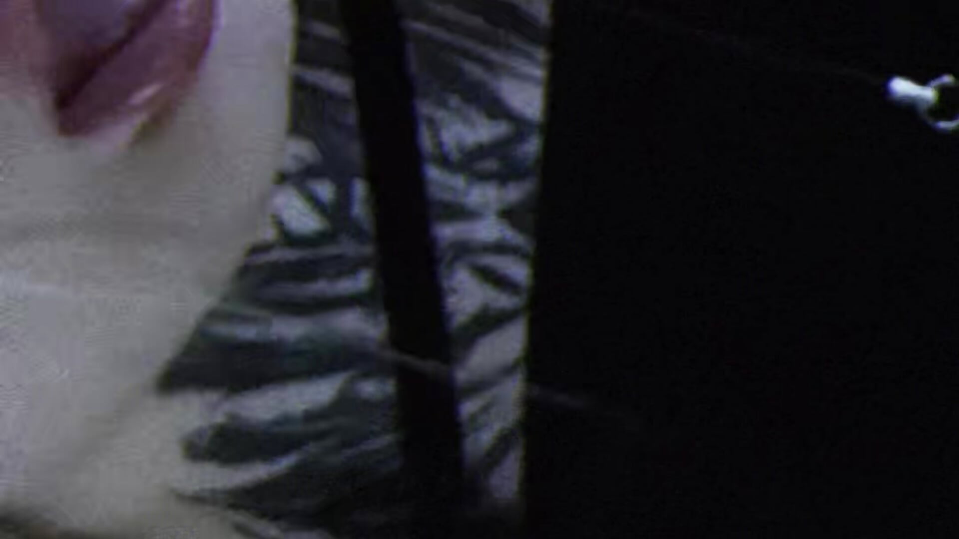 +10000000000000000000000000000000000 - video by AriWild cam model