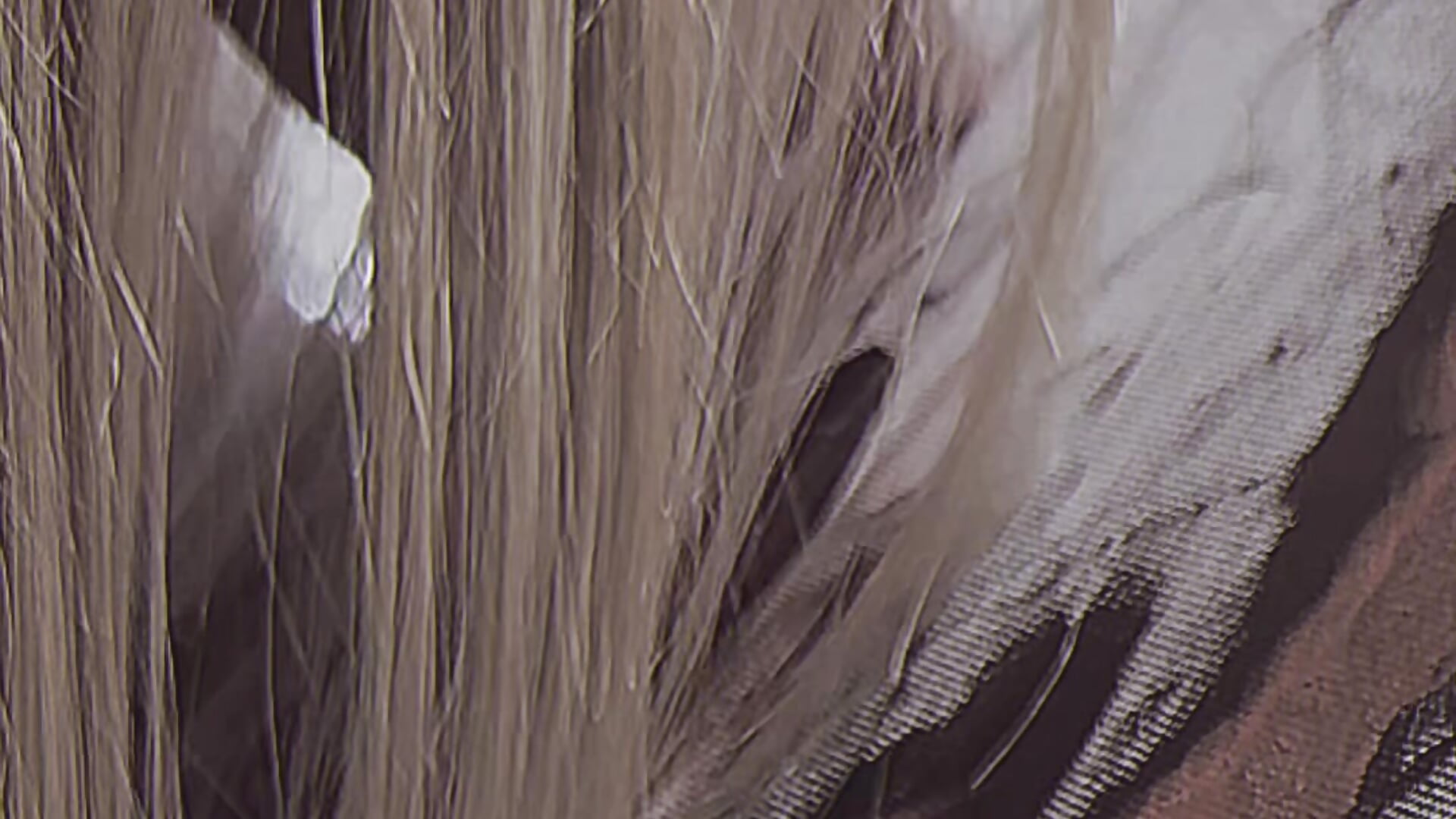 My soul love it ♥️ - video by AriWild cam model