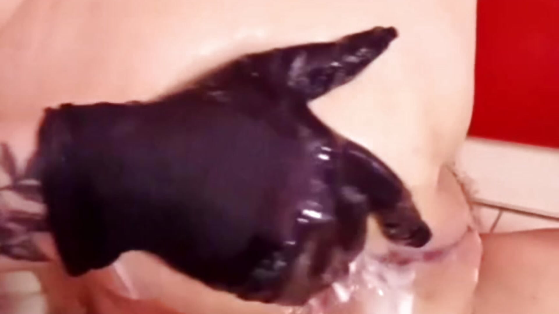 anal fisting and crazy squirt after vaginal pump