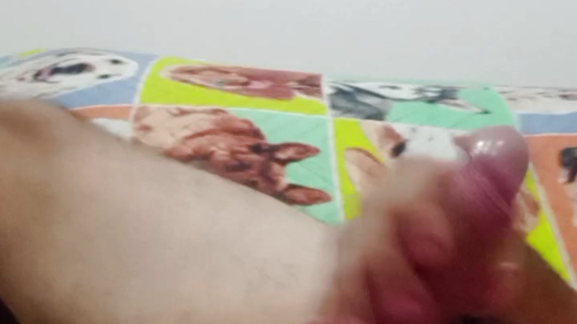 1000047652 - video by Tallarico cam model