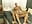 COMPLETE EDITED VIDEO WITH FUCKING AND CUMSHOT (VIDEO EDITADO COMPLETO COM FODA E GOZADA) - video by negativeblood cam model