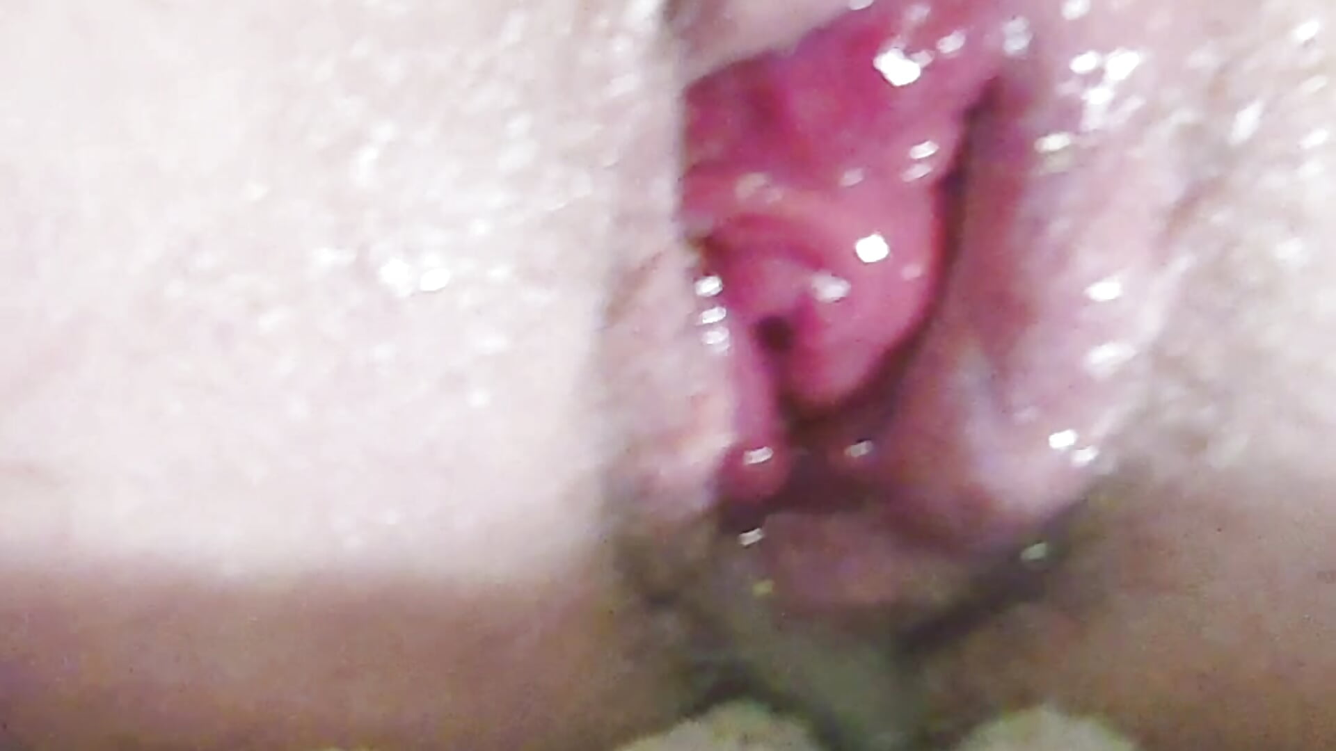 Rosebud - blue-moon23主播的视频