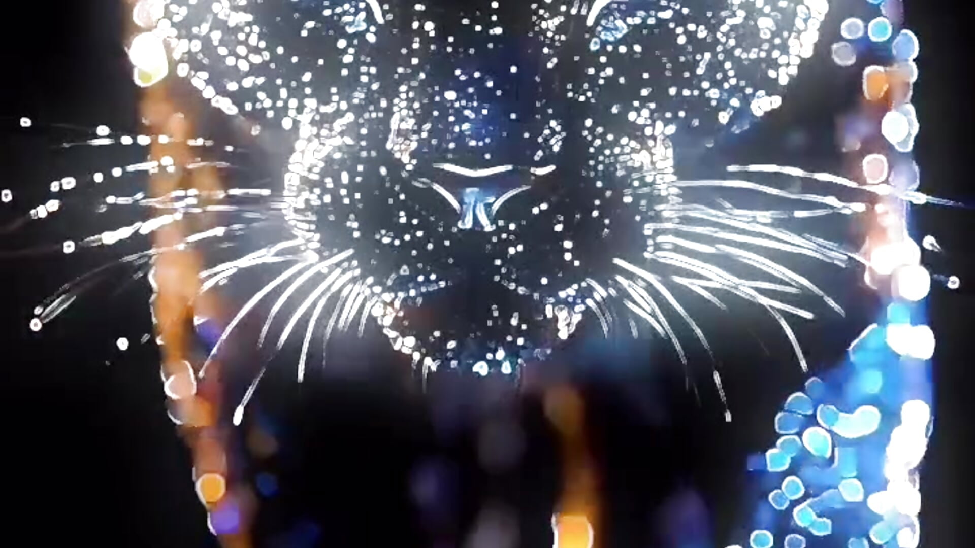 1000015271 - video av Harrmonix cam model