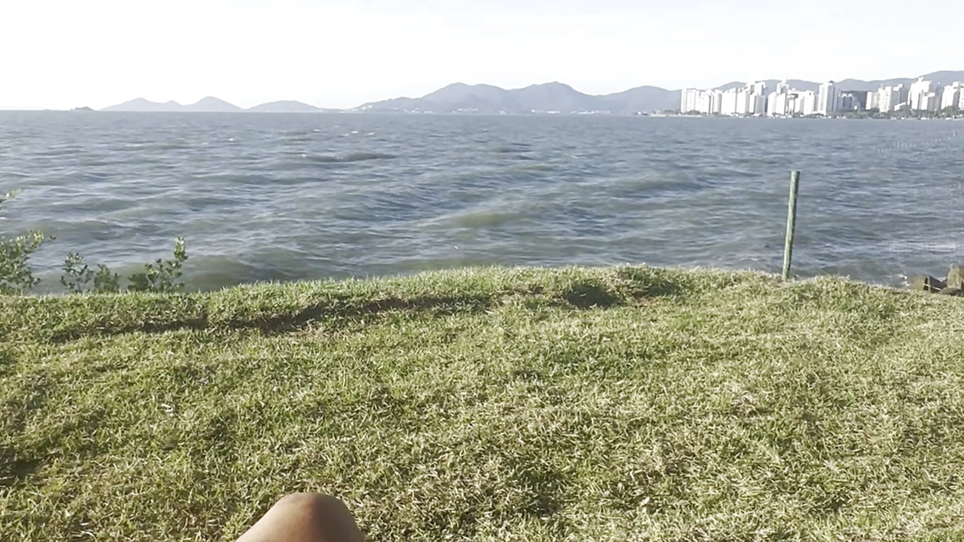 paz