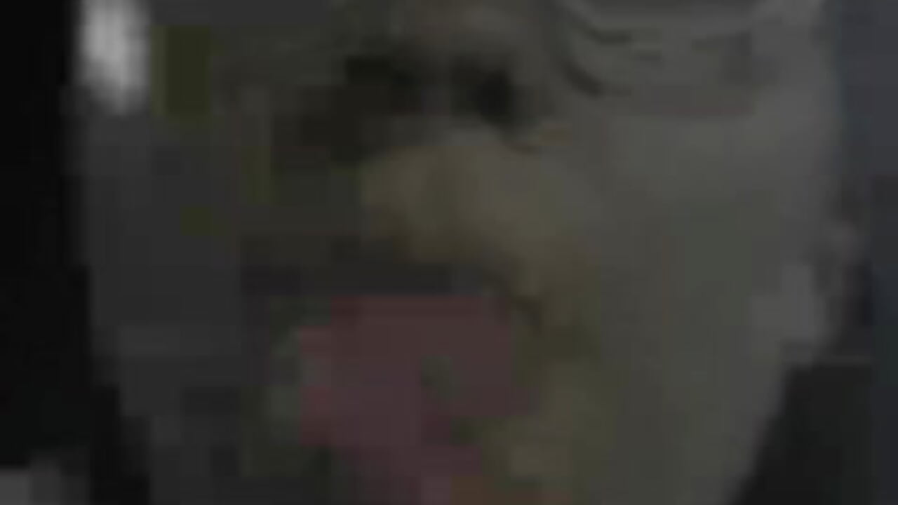 Paseo en moto ride a motorcycle – видео вебкам-модели CoralSmit