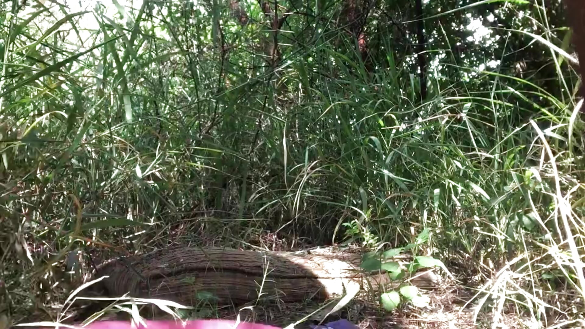 OUTDOOR CUM💦🔫