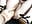 Anal training - Naughty__Slave 的视频
