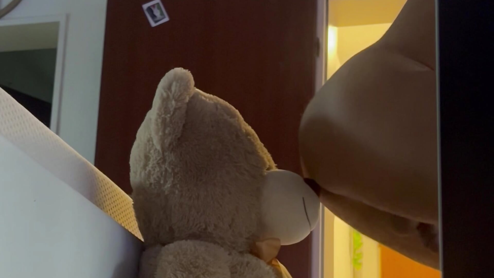 The Bear want my Asshole / الدبة بتشم بطيزي－カメラキャストのMohdollmenの動画