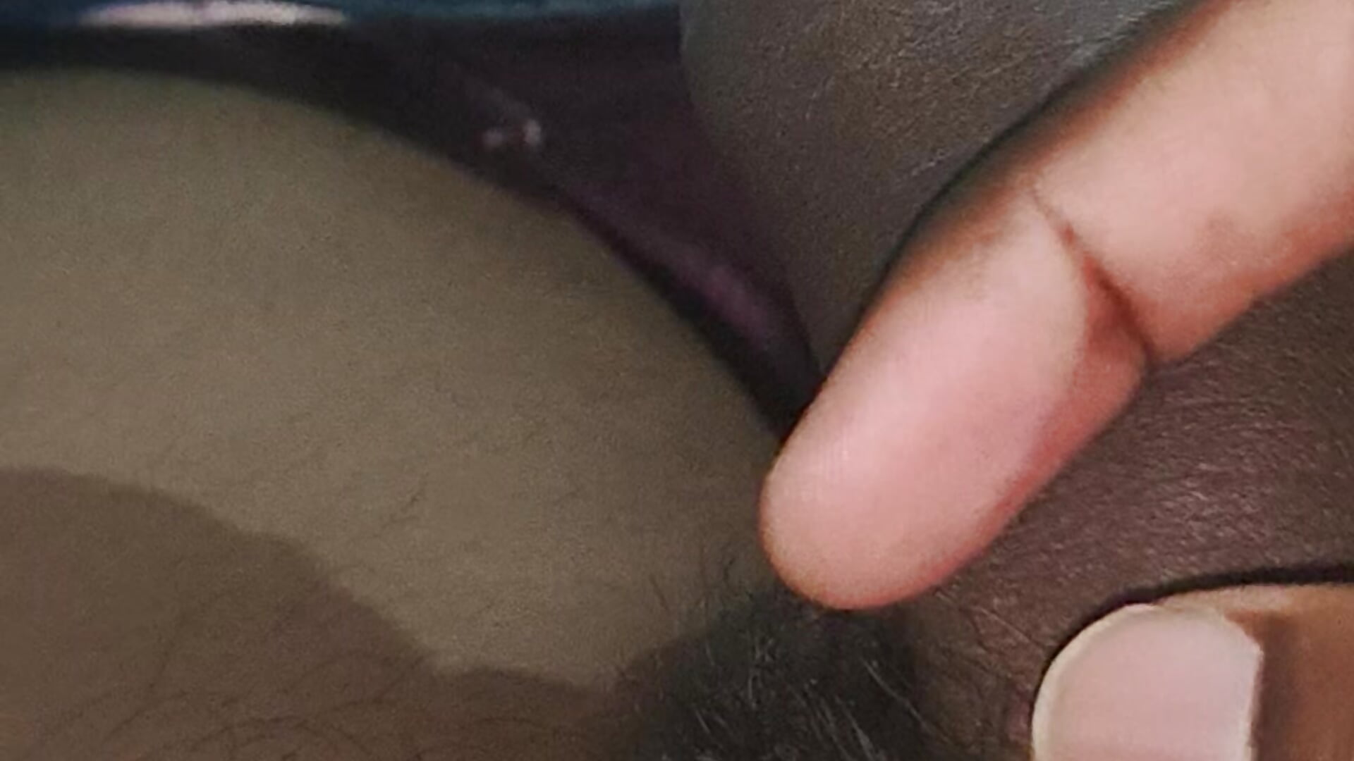 1000103667 - video by Husband_wife_sex cam model