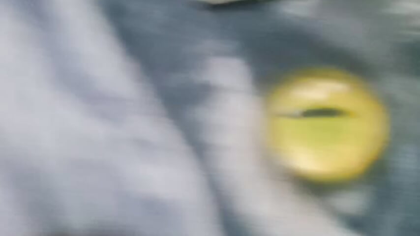 VID_20250929_223845 (1) - video by MoonIrene cam model