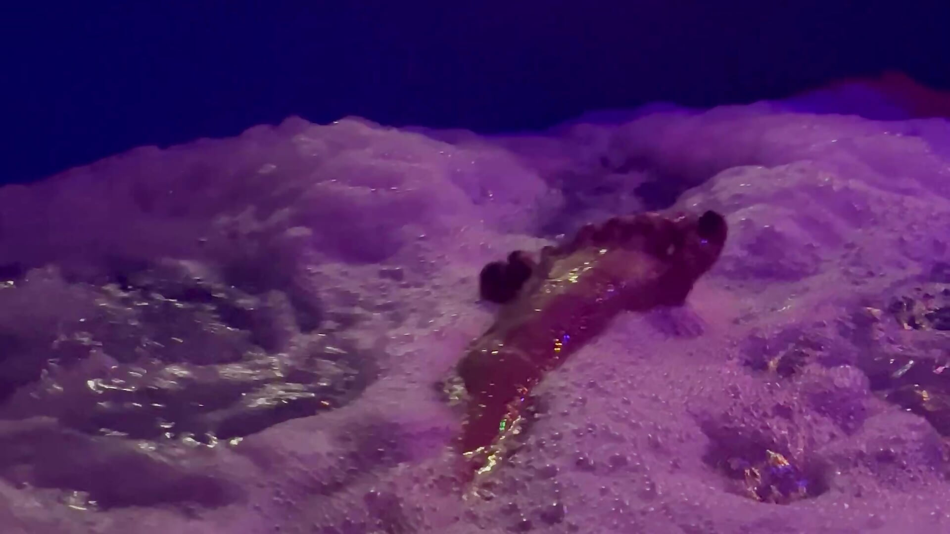 IMG_6168.mov - video by AllieYourGirl cam model