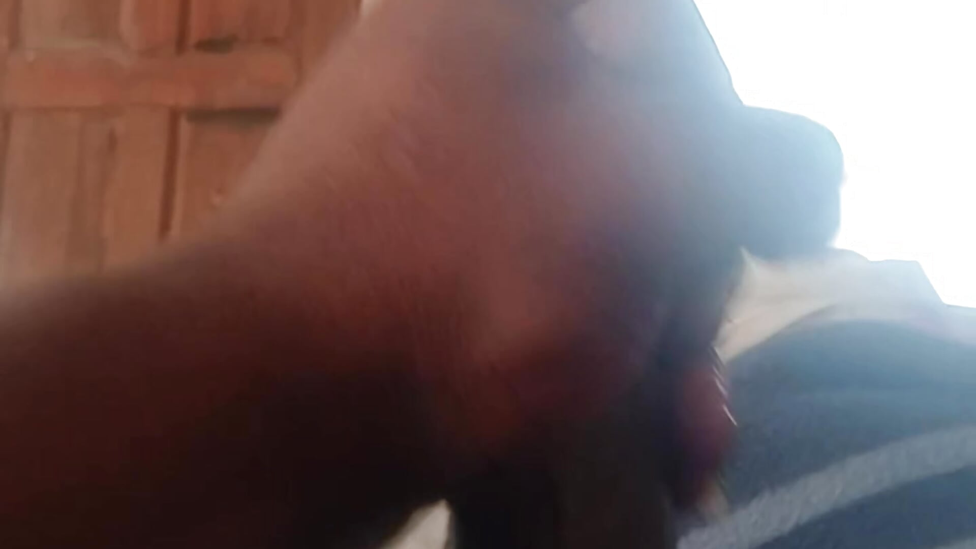 133163 - video by StintedRegiment cam model
