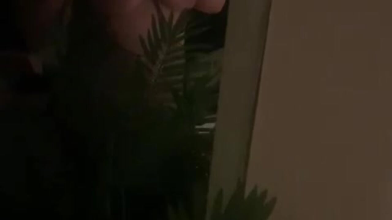 🫣 - video by Queenieml cam model