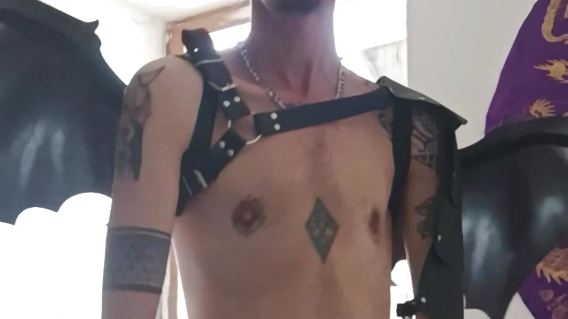 Ryuu's dragon - video by Ryuu_ftm cam model