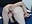 fingers in ass Doggy - Video von cieloDal Cam-Model