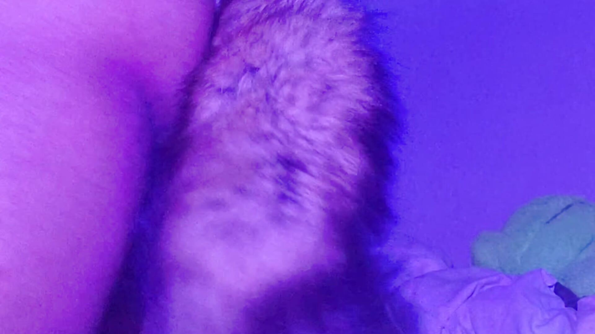 Tail & Puss - відео від вебкаммоделі 8Chaos8