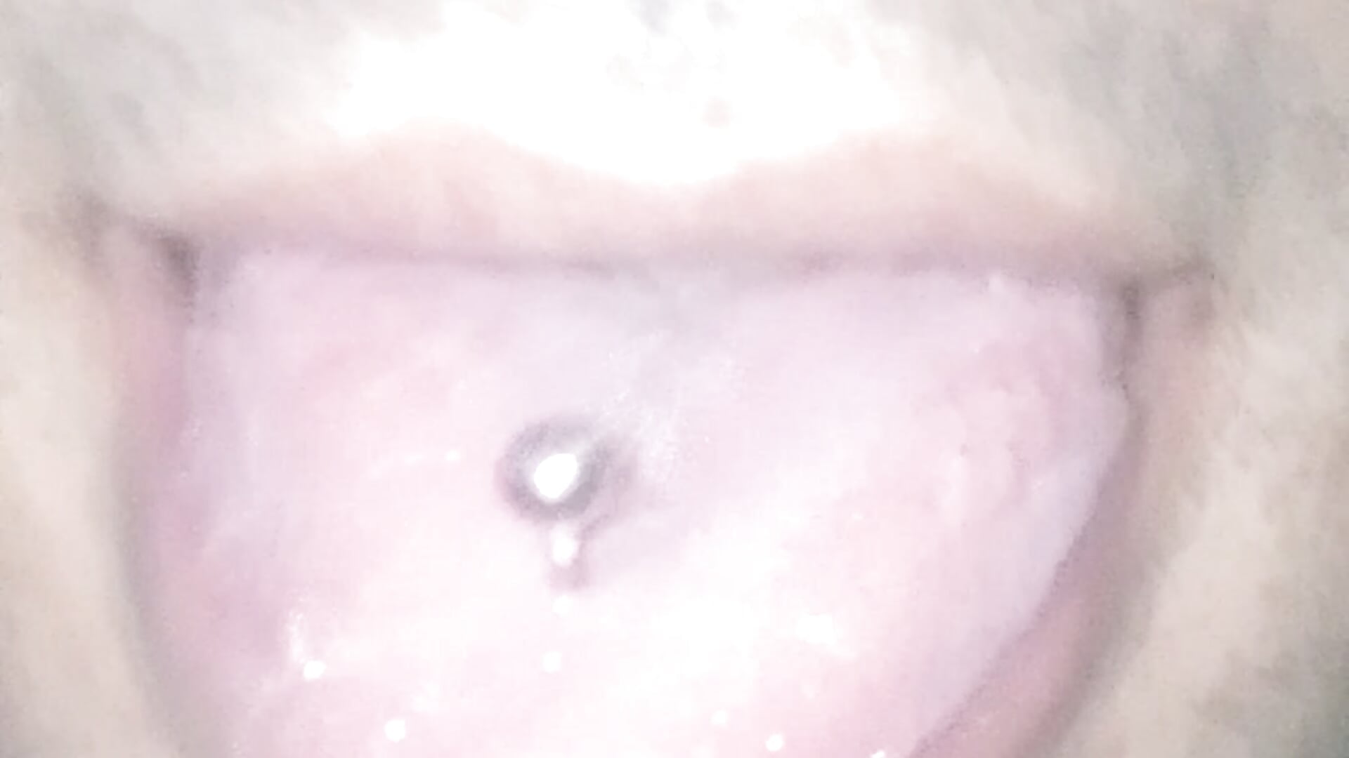 VID_20251201_104241 - vídeo de tumoreno97 modelo de câmara