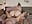 92. Second Anal Video with both cum - clip cu _Becca_und_Nimmersatt_